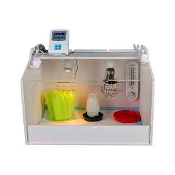 220V Acrylic Brooder Box with Warm Lamp for Young Chickens - Retail