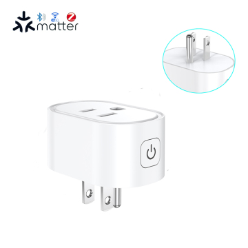 Custom Smart Home System: US Plug with ESP Series Tasmota Firmware for WiFi Mesh (10A/16A), No Energy Monitor