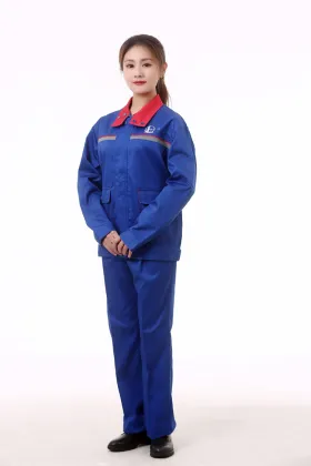 Guaranteed Quality Proper Price Anti-static Uniform