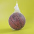 Sports Ball Net Bag