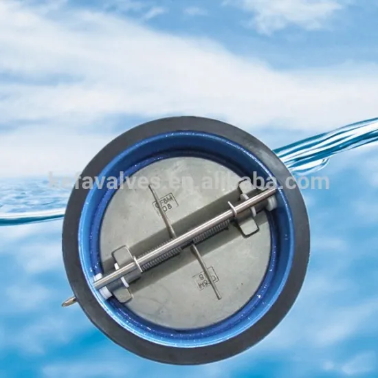 10 inch wafer type cast iron check valve