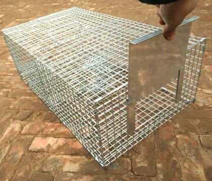 Repeating Sparrow Control Trap Wire Cage