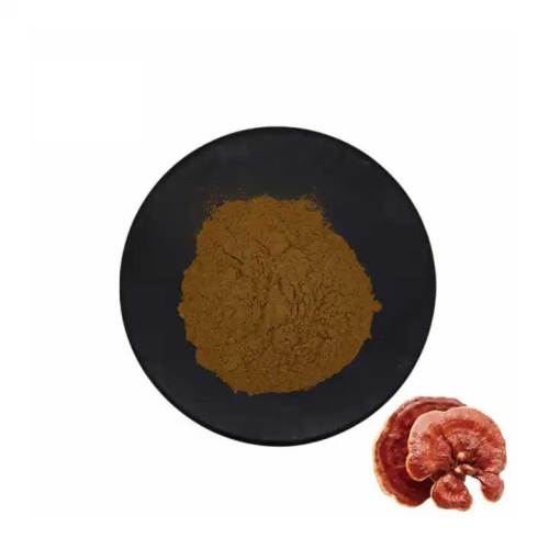 Lingzhi Reishi Mushroom Polysaccharide Extract Powder