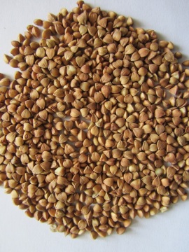 Roasted buckwheat kernel