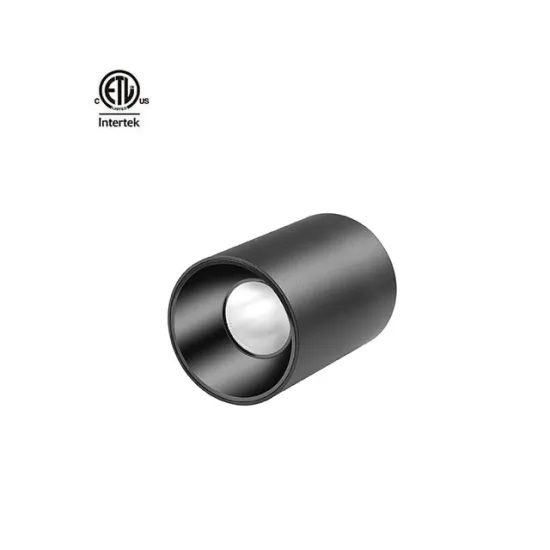 4 Inch 20W Master Series LED Commercial Downlight - Surface Installation with Wide Application