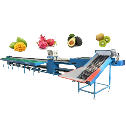 Automatic Fruit Sorting Machine for Tomatoes, Pomegranates, Mandarins, and Oranges