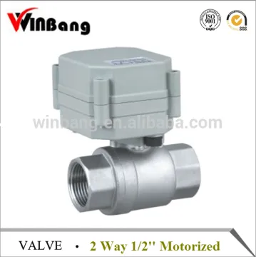 Winbang 2 Way 1/2'' Motorized Electric Actuator Valve