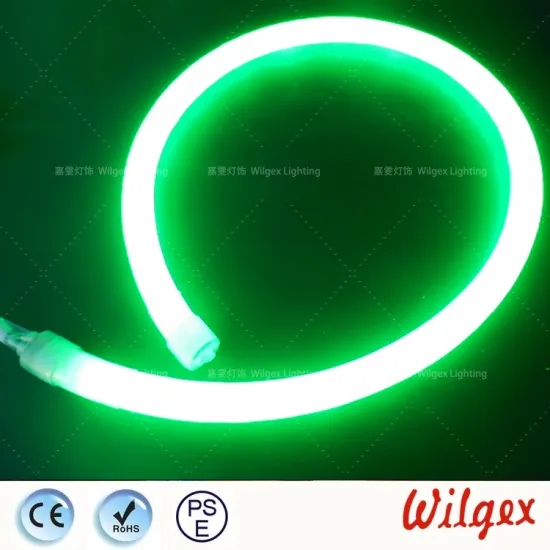 LED Rope Flex neon light