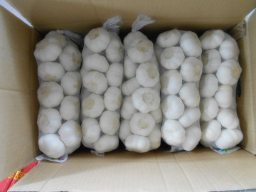 small mesh bag white garlic