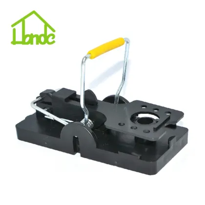 6 Pack E Snap Trap For Mouse