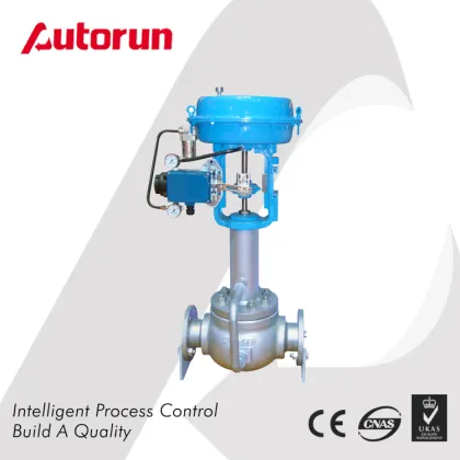 Control Valves: Pneumatic Water and Steam Regulation Solutions