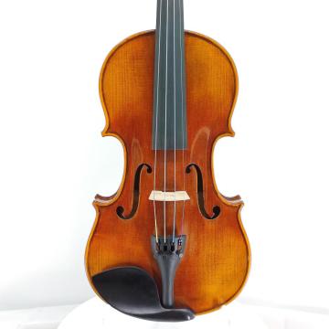 Fiol Professionella musikinstrument med fiolfodral