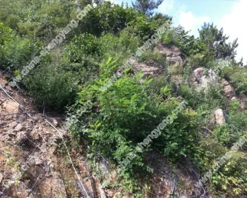 slop protection wire mesh