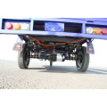 Gold Quality 3 Wheel Cargo Electric Vehicle