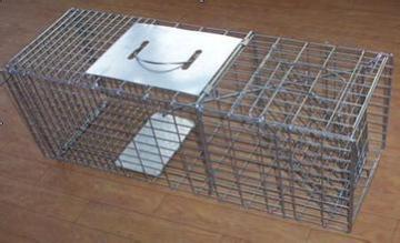 Wire mesh chicken cage/welded chicken cage wire mesh/poultry farming chicken cage