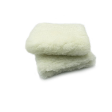 10 Inch Professional Wool Wash Pad for Car Cleaning