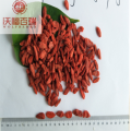 Wolfberry/ Lycium Barbarum/nature taste Goji Berry