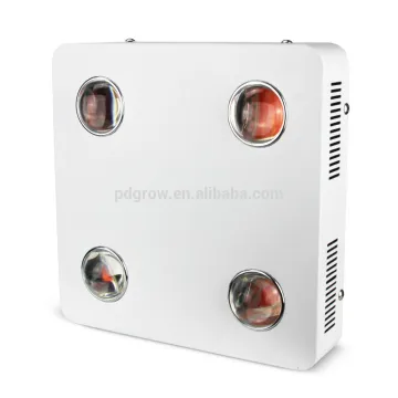cultivate plant grow light hobby grower
