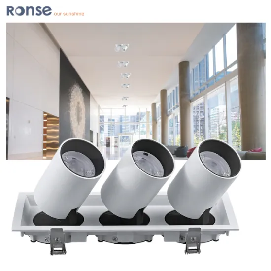 RONSE LED Ceiling Spot Light AC 220V Surface Downlight