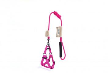 Pet harness and leash set