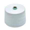 T/R 65/35 Siro Compact Spun Blended Yarn 40s/1