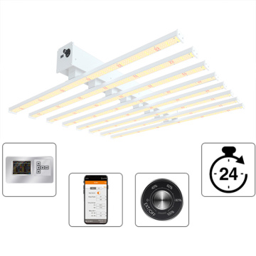 Spider 600W LED LED LOGE LIGHT 8 BARS