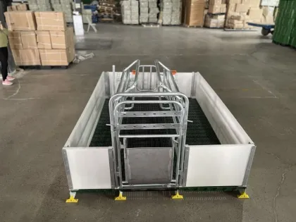 Hot Dipped Farrowing Crates with PVC Fence for Pig Raising Equipment