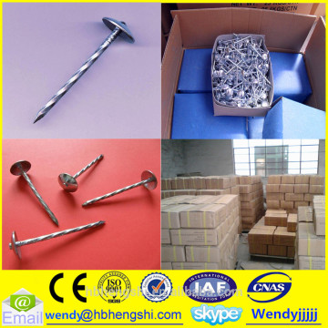 Galvanized roofing nail/twisted shank roofing nail/10G roofing nail