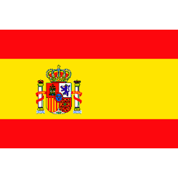 Spain import Customs Declaration Bill Of Lading