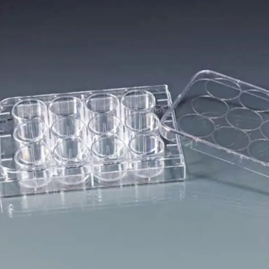 Sterile laboratory Cell Tissue Culture Plate