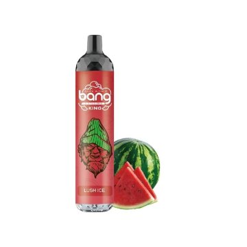 Bang King 12000 Puffs Disposable Vape Wholesale