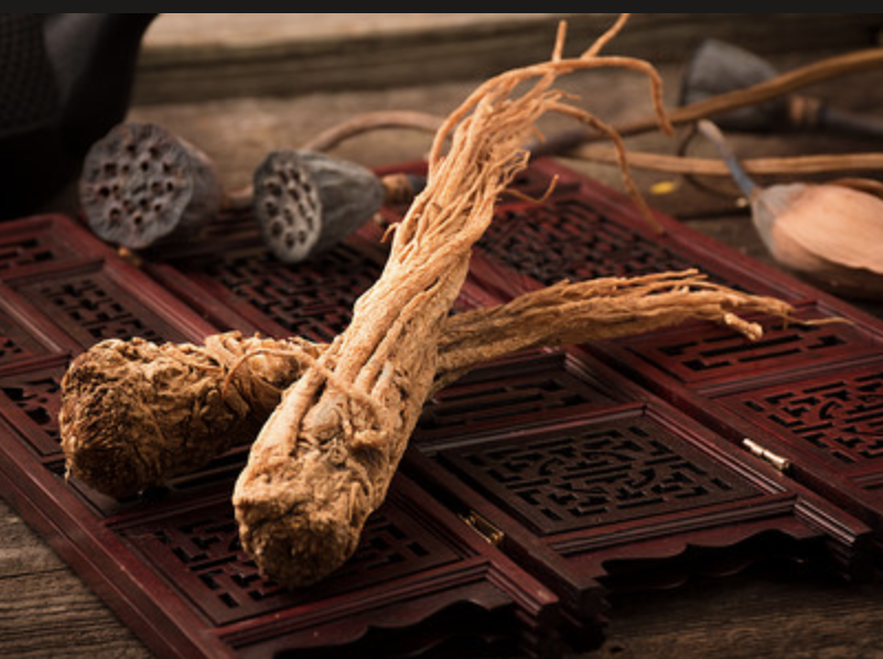 Angelica Extract Supplier