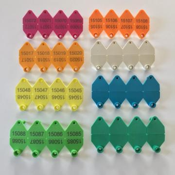 White flag ear tag for pig