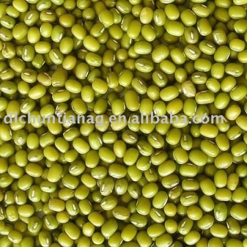 mungbean