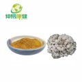 Organic Maitake Mushroom Powder