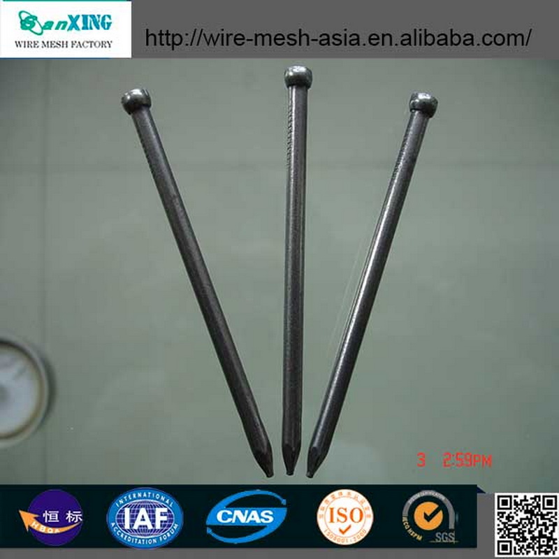 Galvanized Common Nail