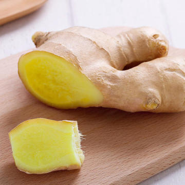 WHOLESALE FRESH ORGANIC GINGER