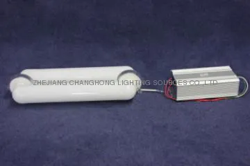 CHANGHONG 80W LVD induction lamps