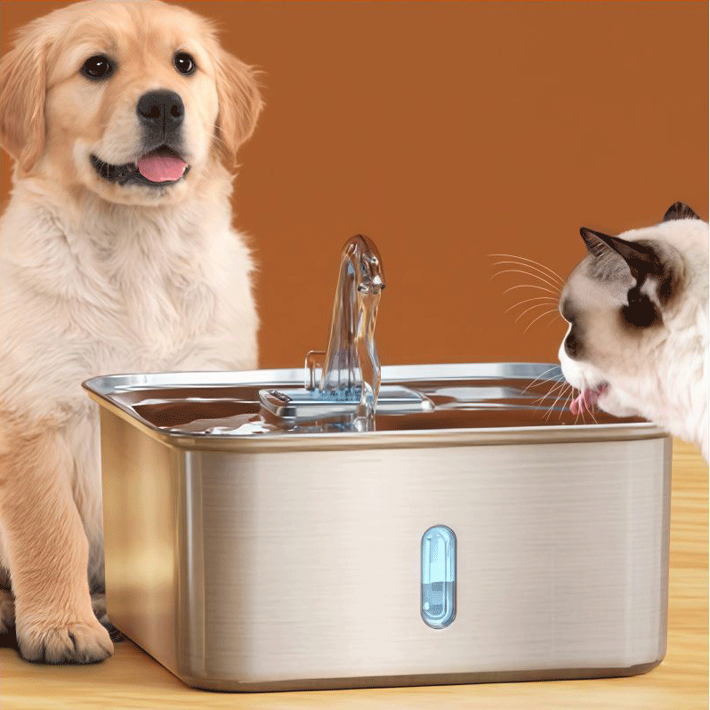 শীর্ষ খাঁজ পোষা স্বয়ংক্রিয় জল ঝর্ণা