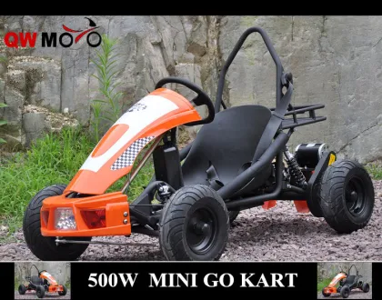 QWMOTO CE 800W Go Kart for childern use Only 36V 800W Electric Buggy Go Kart Mini Racing go kart