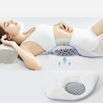 Undefined Leaf Shape Back Pillow With Buckwheat Sleep Pillow Bed Pregnancy Pillow Waist Support Lumbar Herniation Protector