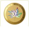 Gold Plated Custom Commemorative Coin