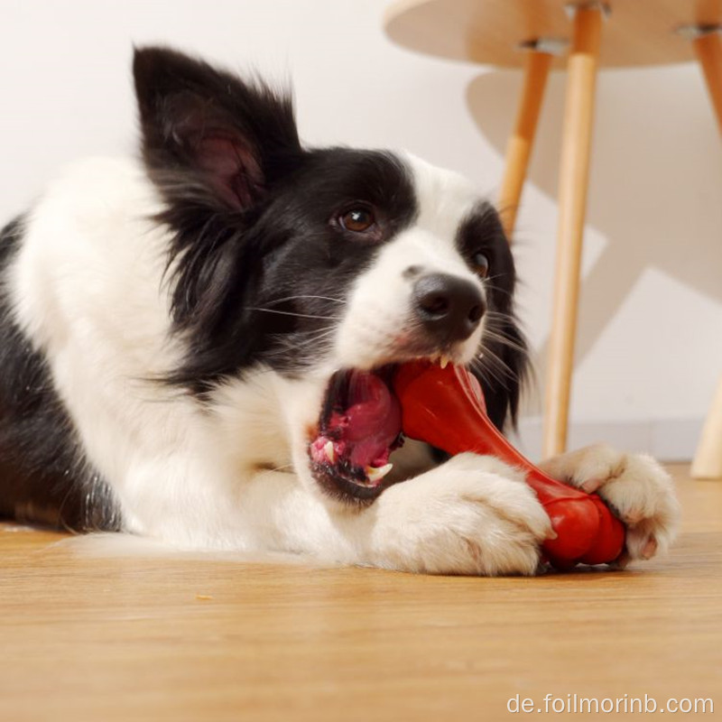 Umweltfreundliches Naturkautschuk-Knochenspielzeug für Hunde