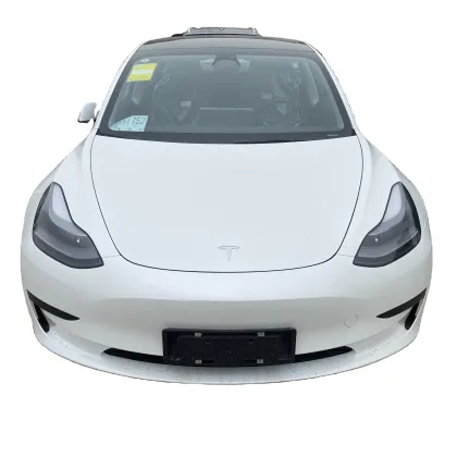 China's Market for 4-Wheel New Energy Vehicles: Focus on Tesla Model 3, Electric EV Cars for Adults