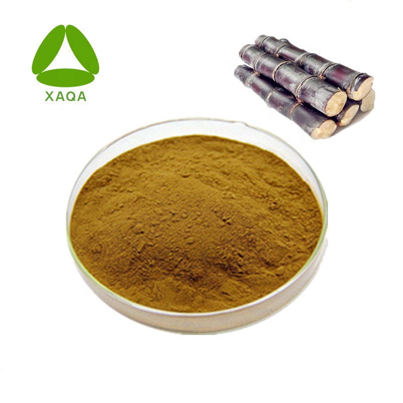 Sugar Cane Extract Powder 10:1 Triacontanol Policosanol