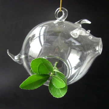 Hanging Flower Vase (DGV001)