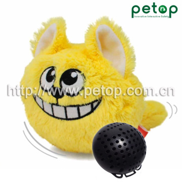 Crazy Ball For Dog Toys