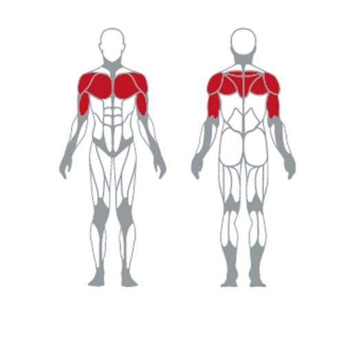 Gym Equipment Plate Loaded Olympic Multi Bench