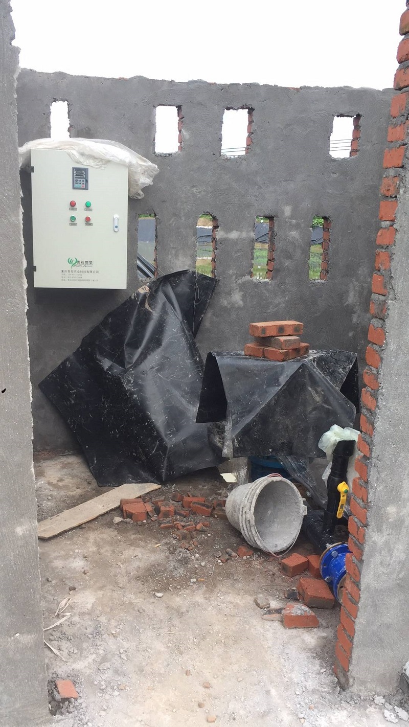 Chongqing Qingcheng Agriculture's Hechuan Drip Irrigation Project Passes Acceptance Inspection, Client Praises Service Quality!