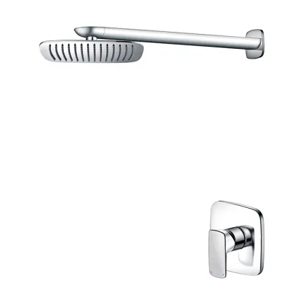 Wall Mount Shower Heads & Faucets